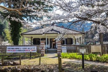 神子畑桜まつり シックナーと桜